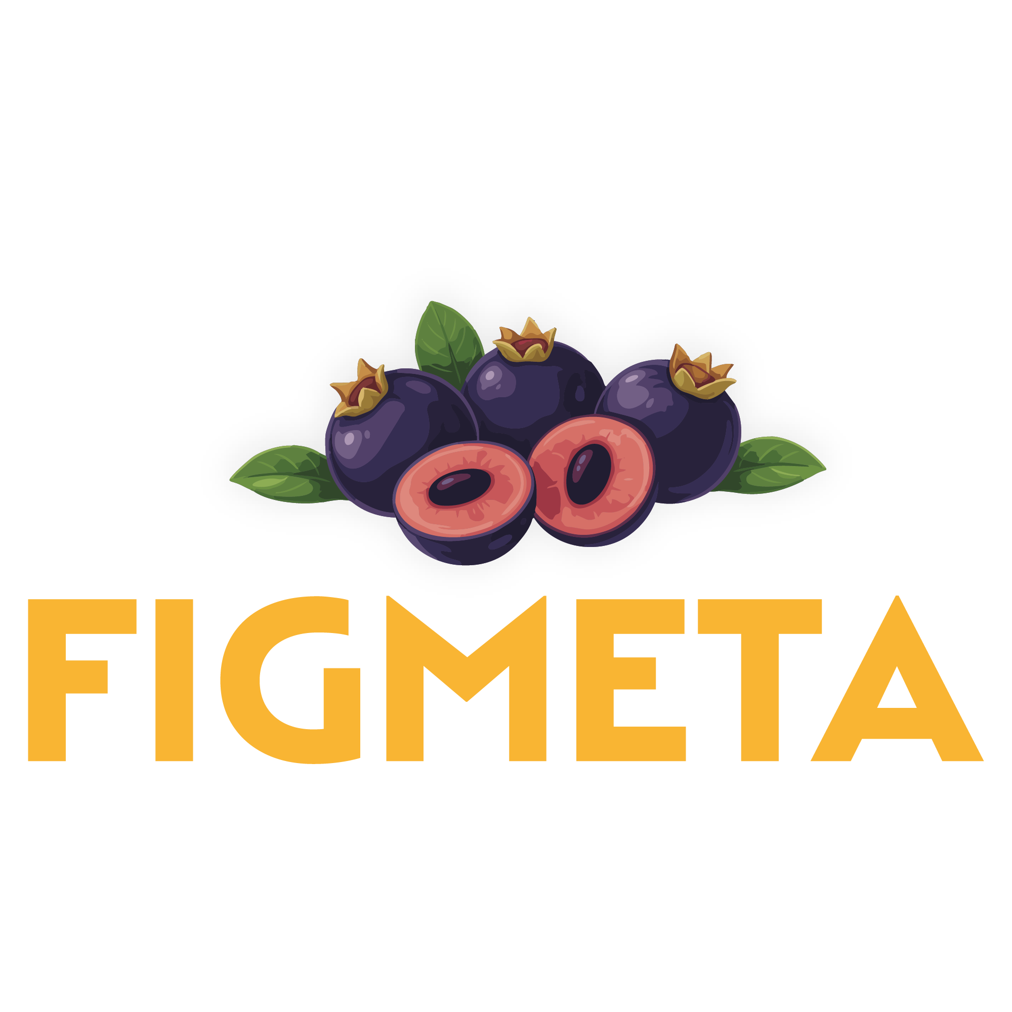 FigMeta